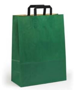 green Paper Bag with Handles - Paper Carrier Bags - TopCraft Bags (Qty: 200+)